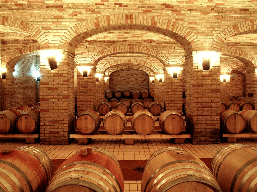 Кирпич SELMO LEADER LINE, Giallo, 250x120x55, S.Anselmo